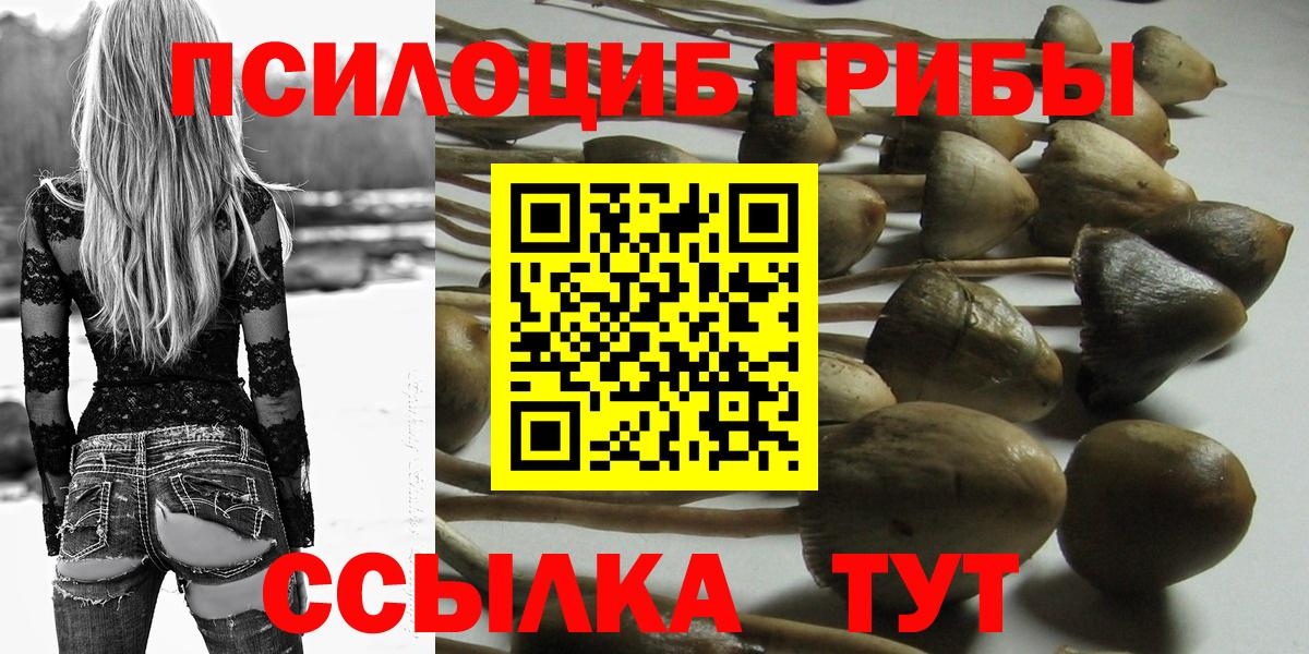 Галлюциногенные грибы Magic Shrooms  Вход с VPN  Галлюциногенные грибы прущие грибы  Анжеро-Судженск 